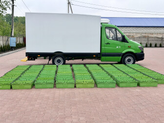Купуйте MERCEDES SPRINTER 314 ВІД -20°C ДО +20°C + РОЗЕТКА 220V + LOTKI Без пробігу по Україні, Гарантія, Повна діагностика, Перегон по всій Україні